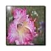 Gladiolus - 12 Inch Ceramic Tile