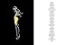 New Icons of Fashion Illustration