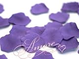 1000 Wedding Silk Rose Petals Purple Plum