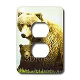 Wild animals - Brown Bear - Light Switch Covers - 2 plug outlet cover