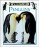 Penguins (Eyes on Nature series)
