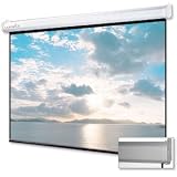 Projector Screen Manual 100"