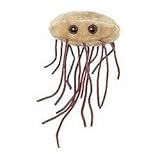 Giant Microbes E. coli (Escherichia coli)
