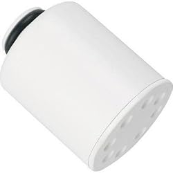 GE FXSCH Shower Filtration System Replacement Filter