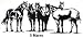 Western Window Decals Save Gas Ride Horse
