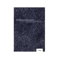 Mythos Designer sein: Ausf�hrliche Arbeitsplatzportr�ts aller Disziplinen. Interviews, Praxistipps, Adressen und Termine. Neue Trends vom Arbeitsmarkt