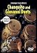 Conga Masters: Changuito and Giovanni Duets