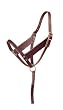 Leather Figue 8 Foal Halter