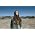 Vignette de Alanis Morissette