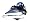 Seattle Seahawks