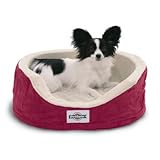 PetSafe Heated Wellness Sleeper