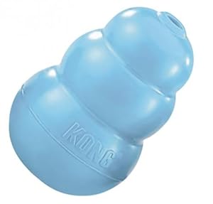 KONG Puppy Kong Toy, Small, Assorted Pink/Blue