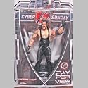 WWE PPV 20 Cyber Sunday The Undertaker