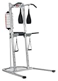 Bowflex BodyTower