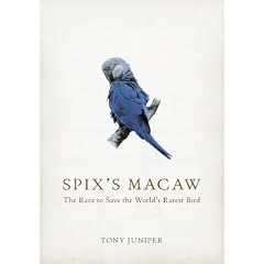 Spix's Macaw: The Race to Save the World's Rarest Bird