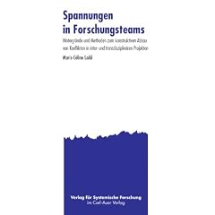 Spannungen in Forschungsteams