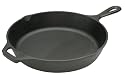 Lodge Logic 10-1/4-Inch Pre-Seasoned Skillet