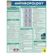 Click here to buy Anthropology Laminate Reference Chart (Quickstudy: Academic) by  Michael S. Harris and Douglas Broadfield.