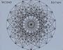 Regular Complex Polytopes