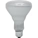GE Lighting 47725 120-Watt Soft White SAF-T-GARD BR40 Light Bulb, 1-Pack