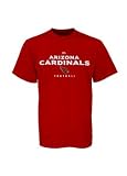 Arizona Cardinals Critical Victory Big and Tall Tee