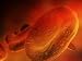 Red Gold, the Epic Story of Blood : BLOOD AND WAR