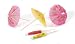 Parasol Party Drink Umbrella Picks - 48 Pcs