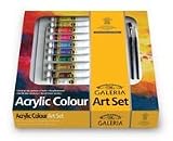 Complete Acrylic Painting Art Set : Paint, Brushes, Canvas Boards