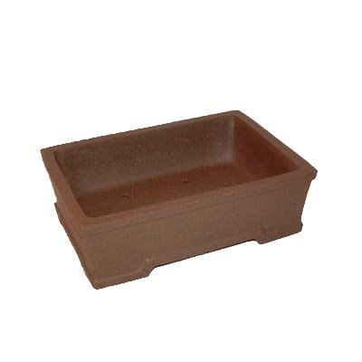 20cm High Quality Fine Clay Bonsai Pot - 4