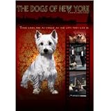 The Dogs of New York