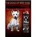 dachshund5 - The Dogs of New York