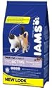 Cat Food - Dry Iams - 15kg Multicat Chicken & Salmon