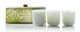 Thymes Aromatic Votive Candles, Set of 3, Frasier Fir