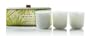 Thymes  Aromatic Votive Candles, Set of 3, Frasier Fir