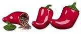 Red Hot Chili Pepper southwestern kitchen Canister Set