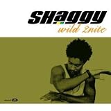 Wild 2nite (2-Track) - Shaggy Feat.Olivia