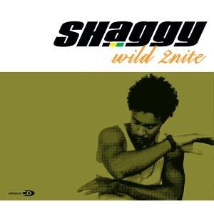 Shaggy Feat. Olivia - Wild 2nite (Birch Remix) Lyrics - Zortam Music