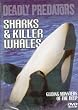 Deadly Predators - Sharks and Killer Whales [UK Import]