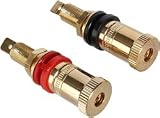 Dayton BPP-G Premium Binding Post Pair Gold
