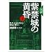 紫禁城の黄昏―完訳 (下)
