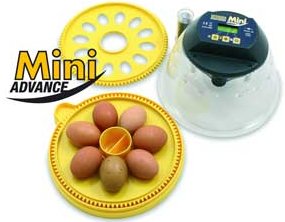 Brinsea Mini ADVANCE Egg Incubator
