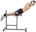 Body Solid PowerLine Pec Attachment PPA13X for Use with PSM144X Smith Machine- FREE SHIPPING