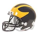 Michigan Wolverines Mini Helmet by Riddell
