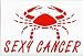 SEXY CANCER Hooded Sweatshirt 3X