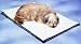 Allied Precision Large Non-Heated Pet Bed