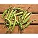 Fresh Thai chile peppers - 16 oz