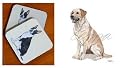 Yellow Labrador Retriever Beverage Coaster Set