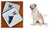 Yellow Labrador Retriever Beverage Coaster Set