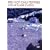���C���E�A�b�g�E�X���C���E�L���b�X�� [DVD]