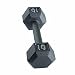 10 lb Grey Cast Iron Hex Dumbbell